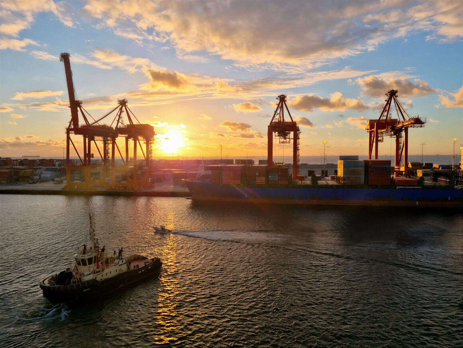 Port infrastructure with bulk cargo